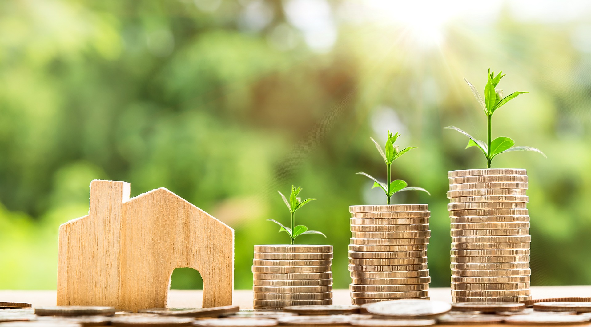 Property_Growth_Seeff_Mauritius